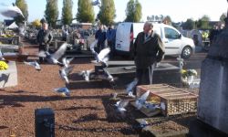 Commmoration 11 Novembre   025